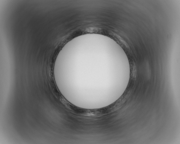 X0000113010569200908270942