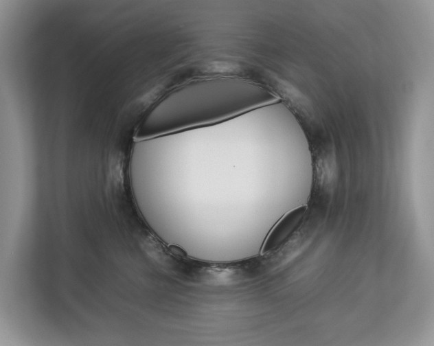 X0000113010570200908270942