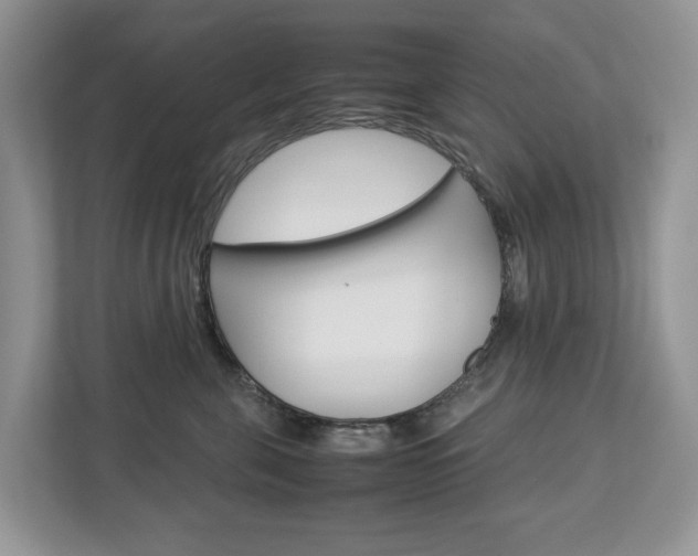 X0000113010571200908270942