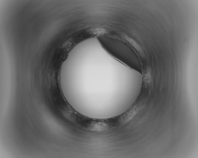 X0000113010572200908270942