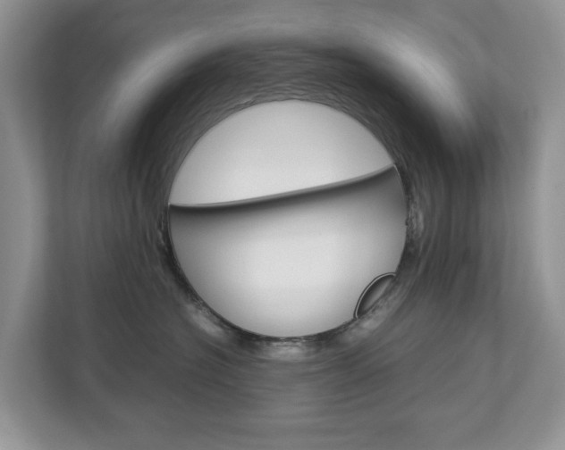 X0000113010574200908270942