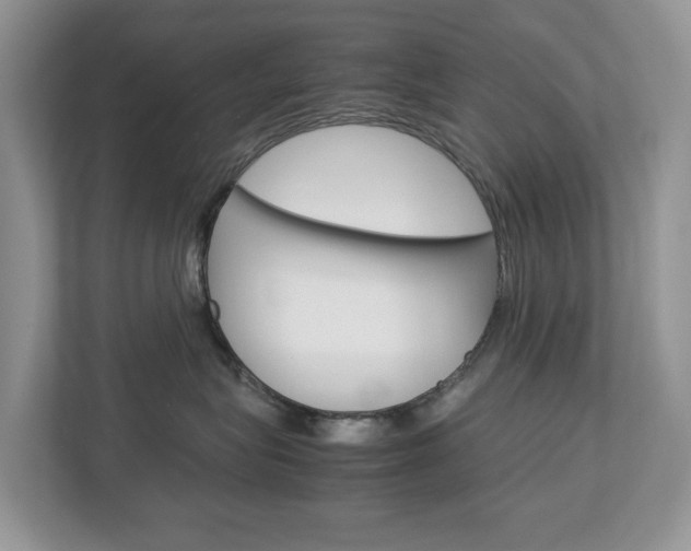 X0000113010575200908270942