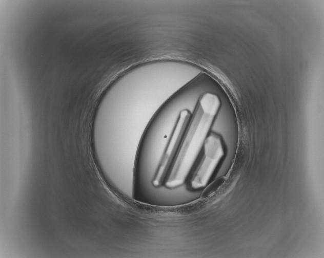 X0000113010577200908270941