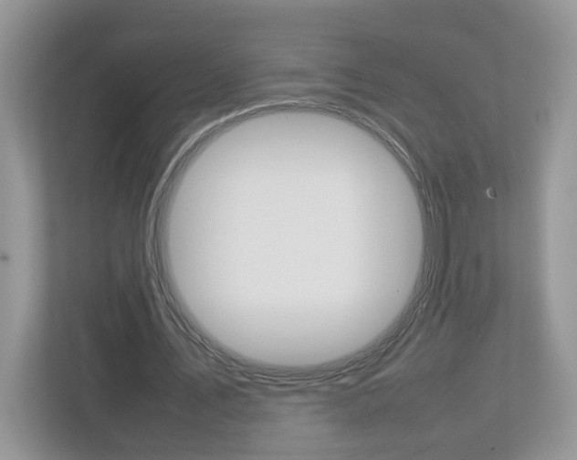 X0000113010579200908270941