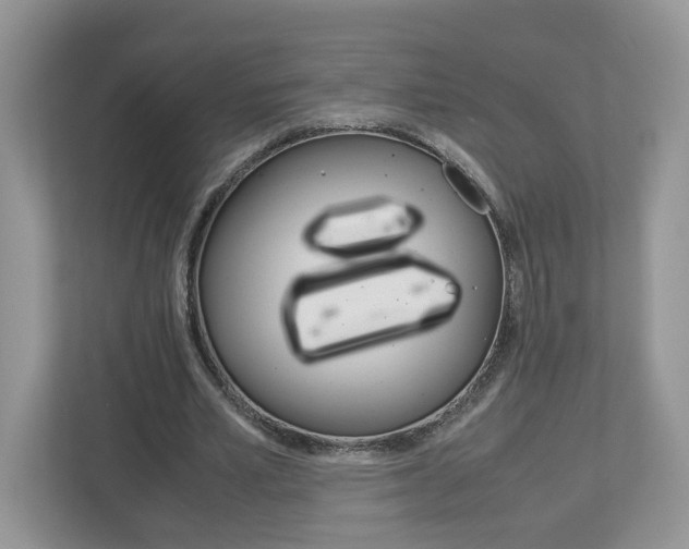 X0000113010581200908270941