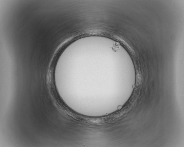 X0000113010583200908270941
