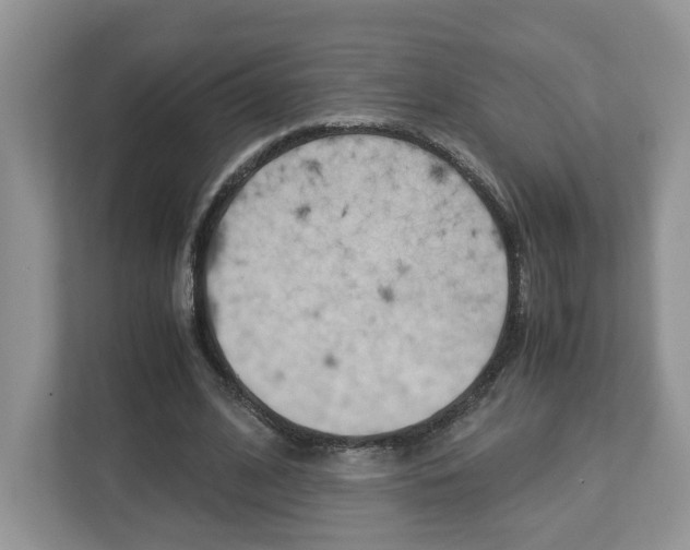 X0000113010584200908270941