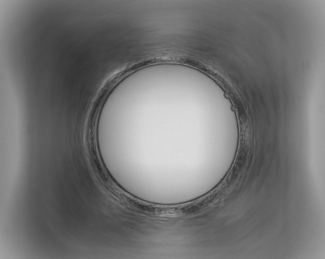 X0000113010587200908270941