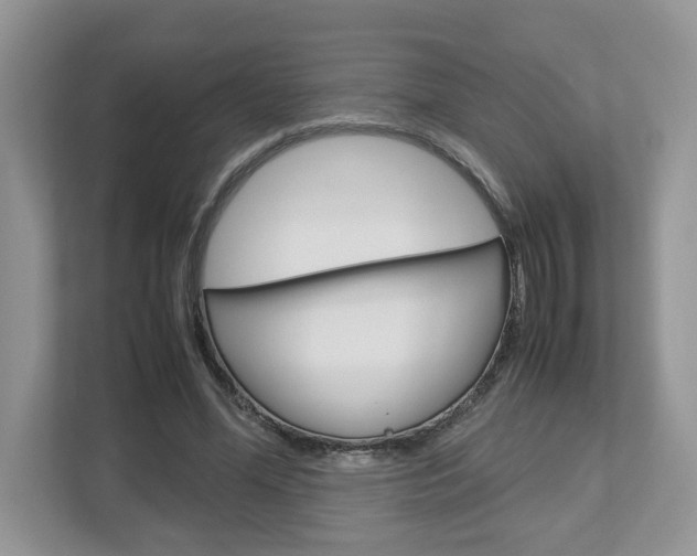 X0000113010588200908270941