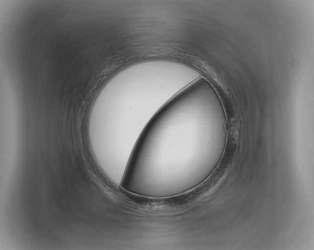 X0000113010589200908270941