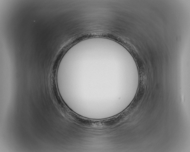 X0000113010591200908270941