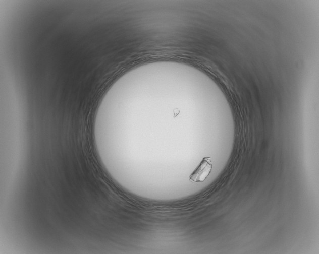 X0000113010593200908270941