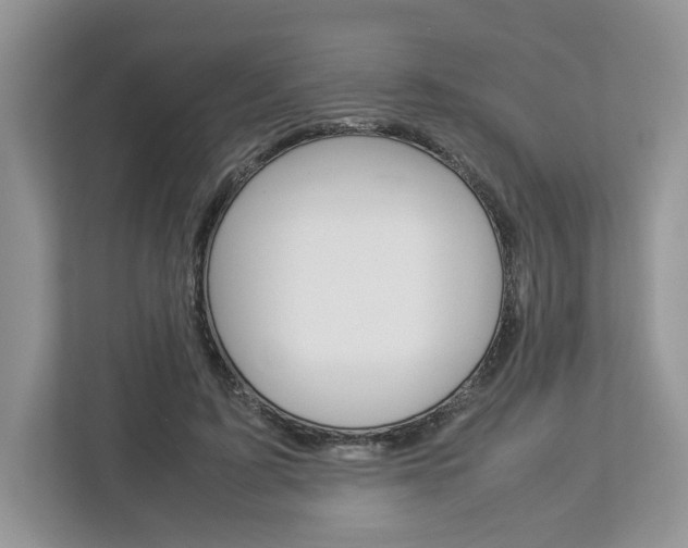 X0000113010595200908270941