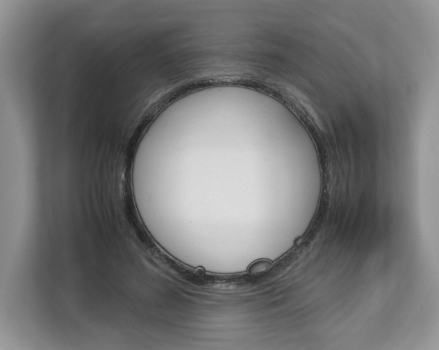 X0000113010596200908270941