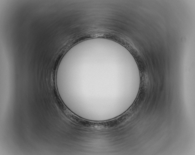 X0000113010598200908270941