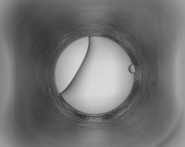 X0000113010599200908270941