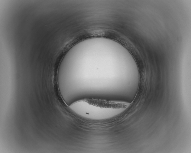 X0000113010600200908270941