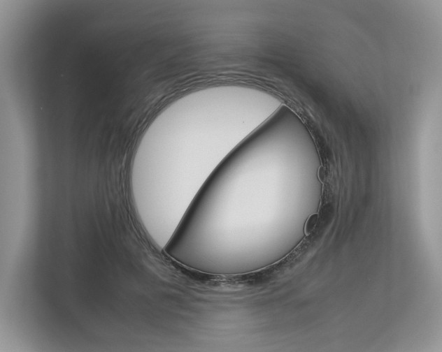 X0000113010601200908270941