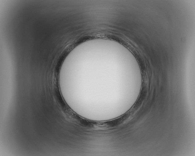 X0000113010603200908270941