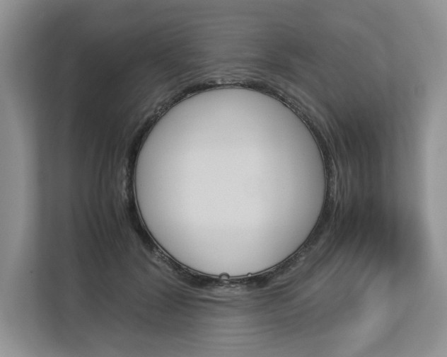 X0000113010604200908270941