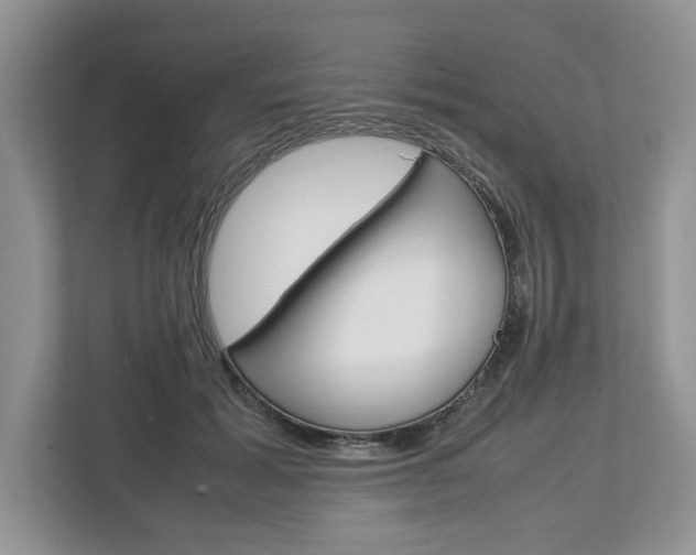 X0000113010605200908270941