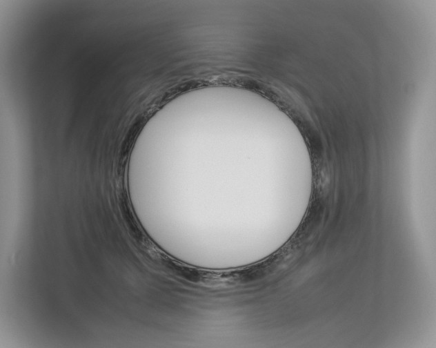 X0000113010607200908270941