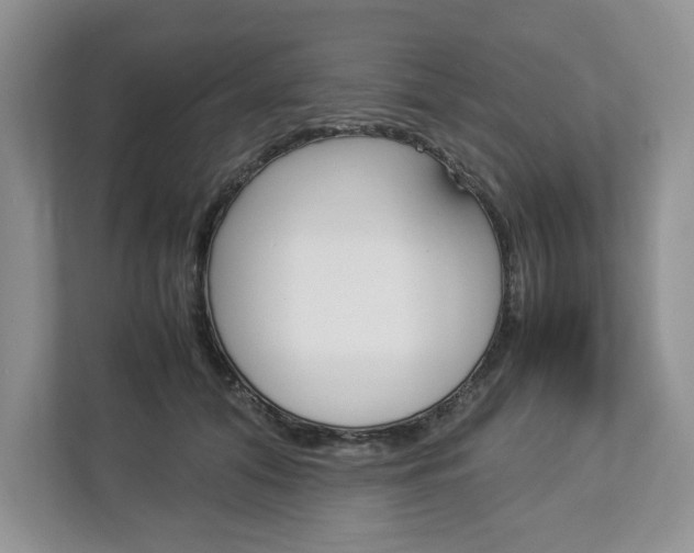 X0000113010608200908270941