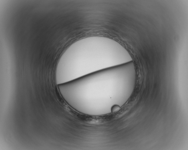 X0000113010612200908270941