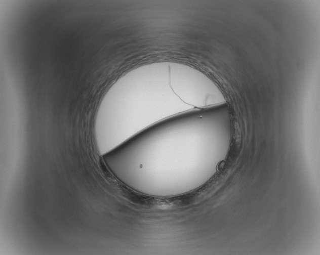 X0000113010613200908270941