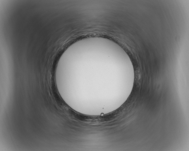 X0000113010615200908270941