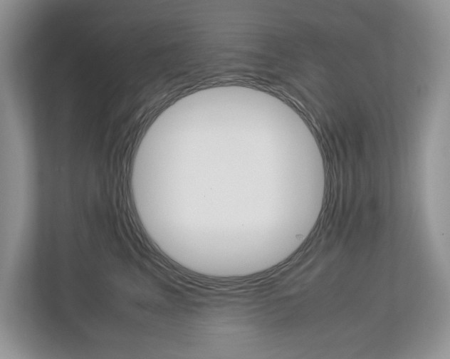 X0000113010617200908270941