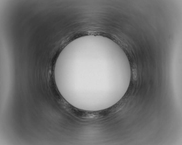 X0000113010618200908270941