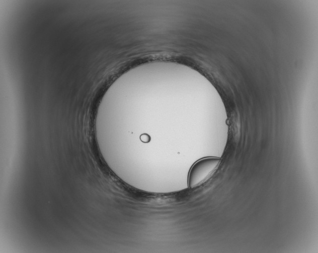 X0000113010619200908270941