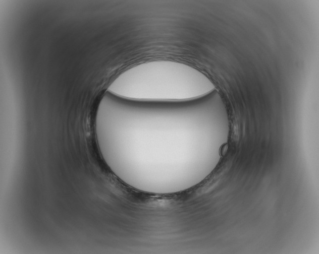X0000113010620200908270941