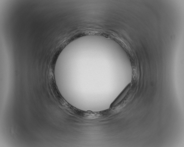 X0000113010621200908270941