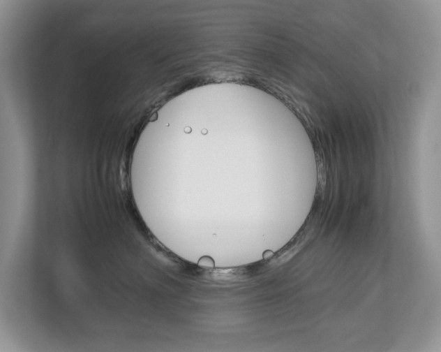 X0000113010622200908270941
