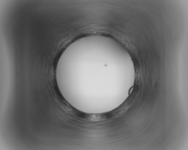 X0000113010623200908270941