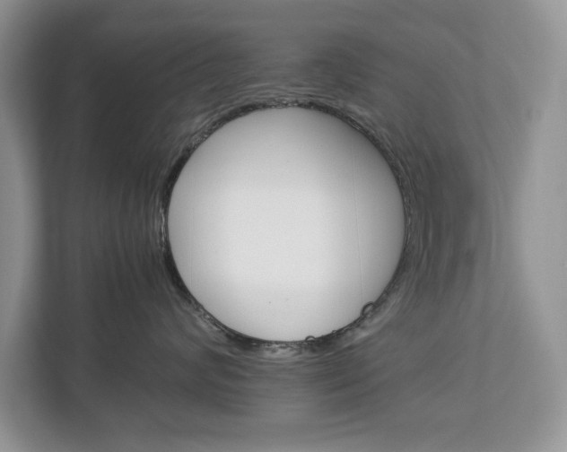 X0000113010624200908270941