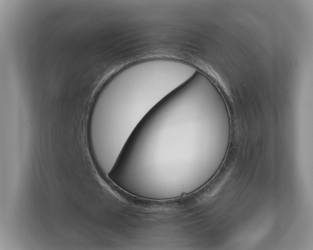 X0000113010625200908270940