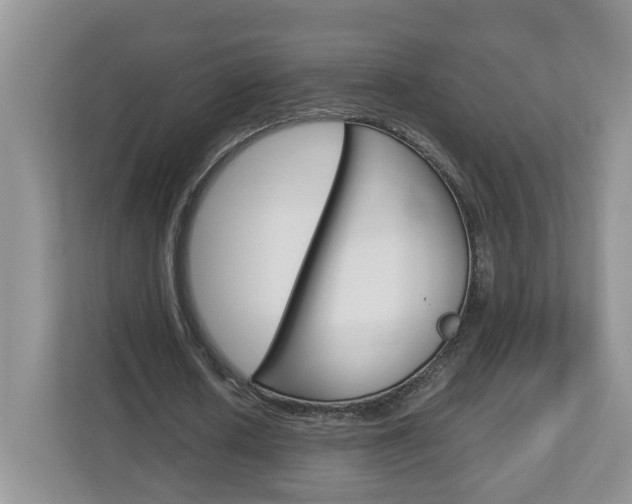 X0000113010626200908270940