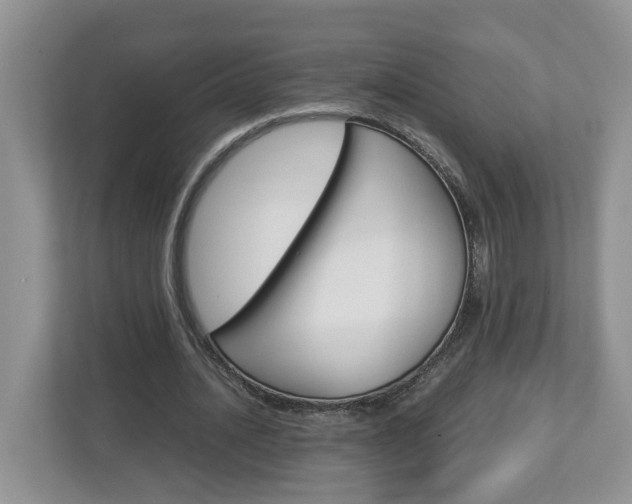 X0000113010628200908270940