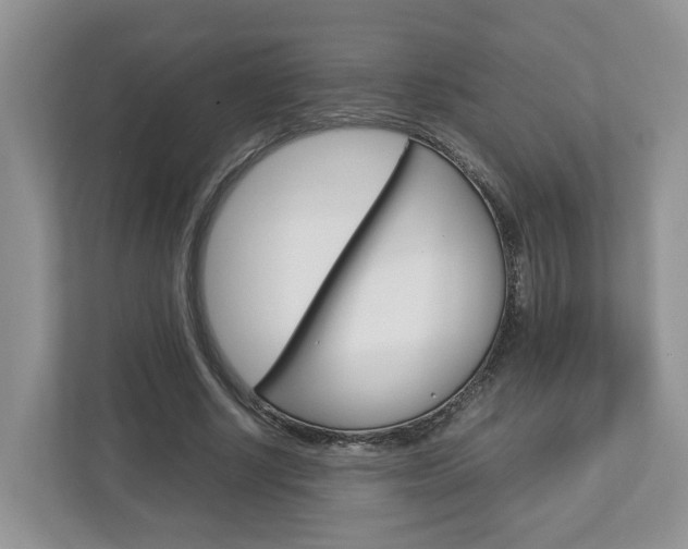 X0000113010634200908270940