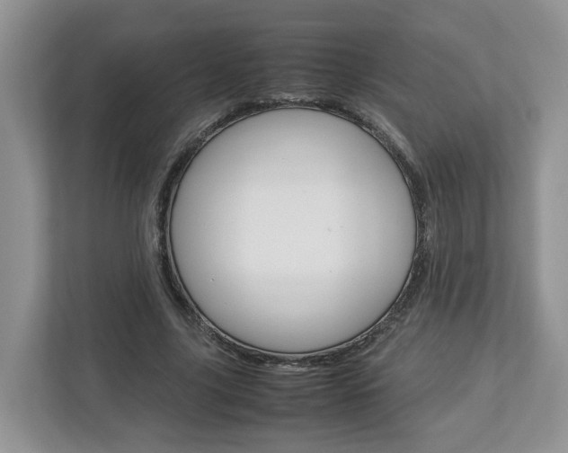 X0000113010635200908270940