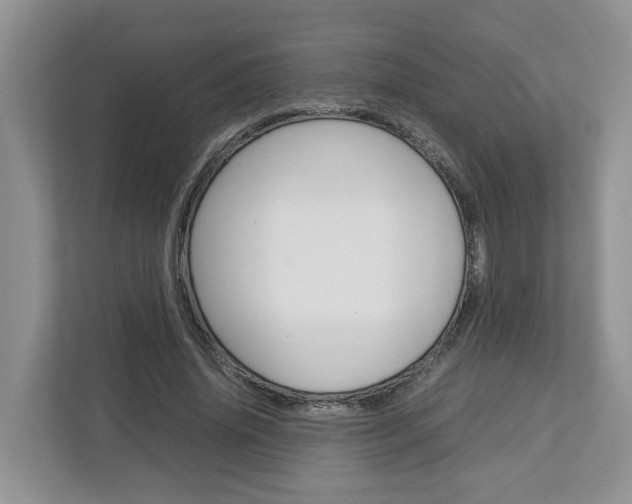 X0000113010636200908270940