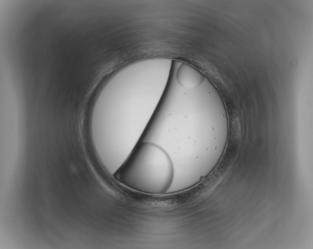 X0000113010638200908270940