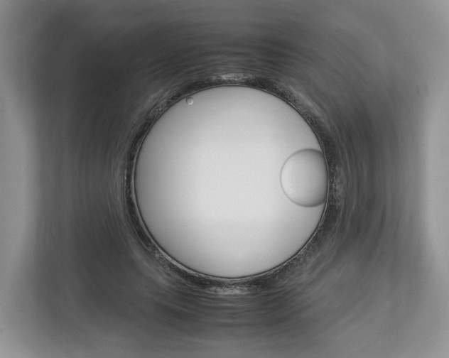 X0000113010639200908270940