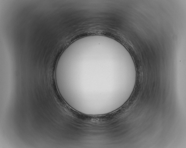 X0000113010641200908270940