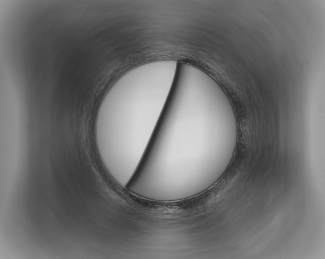 X0000113010642200908270940