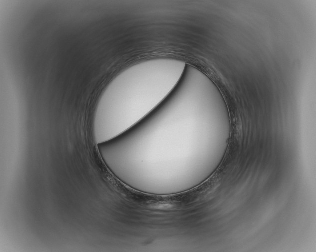 X0000113010643200908270940