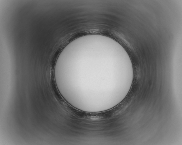 X0000113010645200908270940